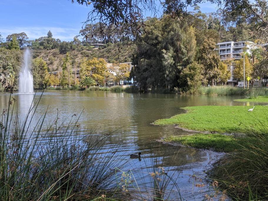 City & Lakeside With Free Parking, Pool And 10 Mins Walk Into The City Perth Bagian luar foto